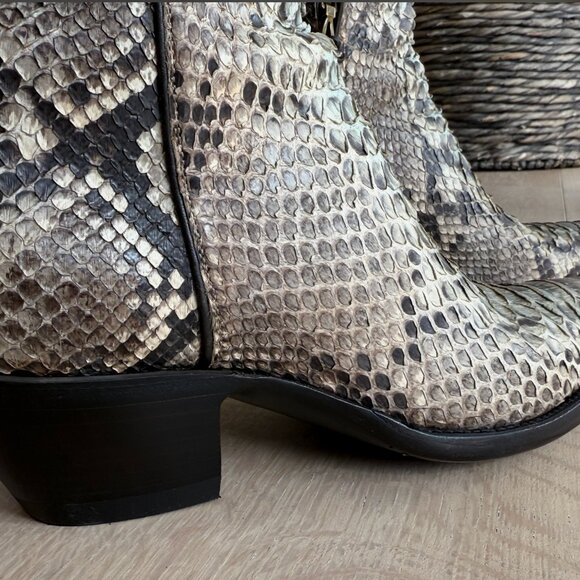 STALLION BLUE PYTHON ZORRO - Picture 3 of 9